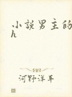 小说男主的命根h