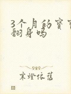 3个月的宝宝会翻身吗