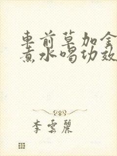 车前草加金银花煮水喝功效