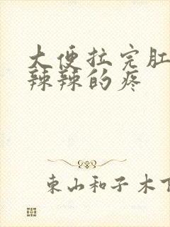 大便拉完肛门火辣辣的疼