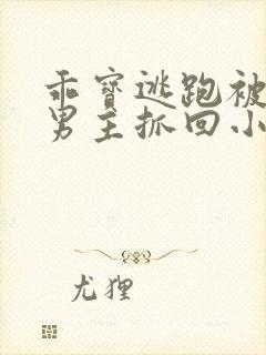 乖宝逃跑被病娇男主抓回小说阅读