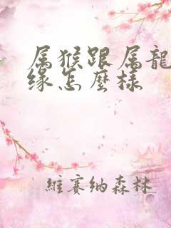 属猴跟属龙的姻缘怎么样