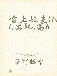 偷上姐夫(1v1,出轨,高h