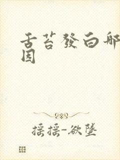 舌苔发白哪些原因