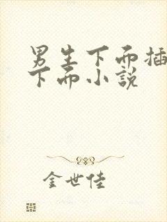 男生下面插女生下面小说