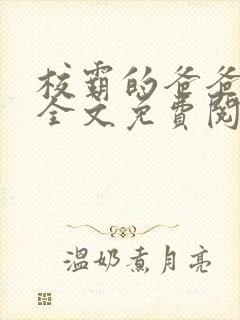 校霸的爸爸小说全文免费阅读