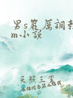 男s严厉调教女m小说