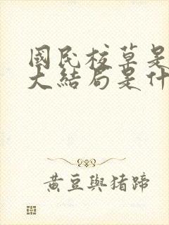 国民校草是女生大结局是什么