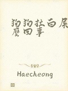 狗狗拉白屎是怎么回事