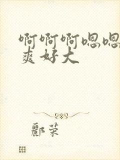 啊啊啊嗯嗯嗯好爽好大