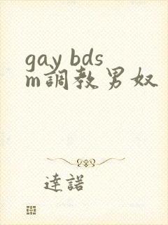 gay bdsm调教男奴