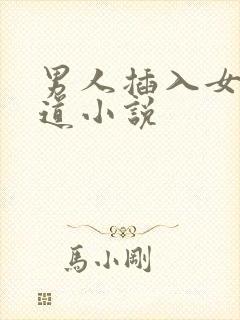 男人插入女人阴道小说