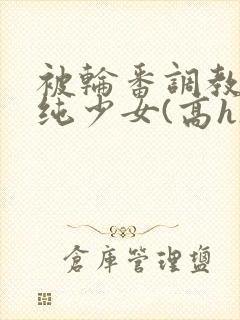 被轮番调教的清纯少女(高h)