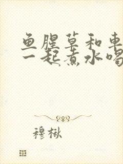 鱼腥草和车前草一起煮水喝的功效