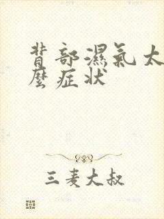 背部湿气太重什么症状