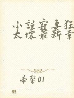 小说宠妻狂魔别太坏最新章节