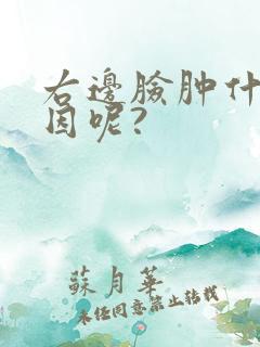 右边脸肿什么原因呢?