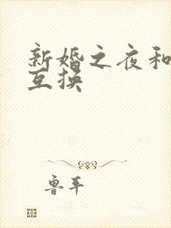 新婚之夜和闺蜜互换