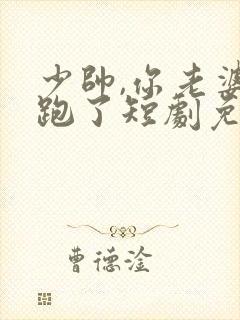 少帅,你老婆又跑了短剧免费播放