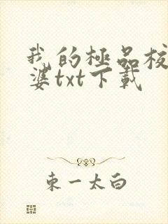 我的极品校花老婆txt下载