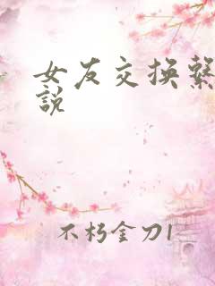 女友交换系列小说