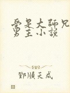 受是大师兄的双男主小说