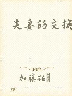 夫妻的交换小说