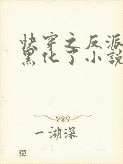 快穿之反派终于黑化了小说