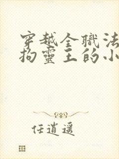 穿越全职法师之拘灵王的小说