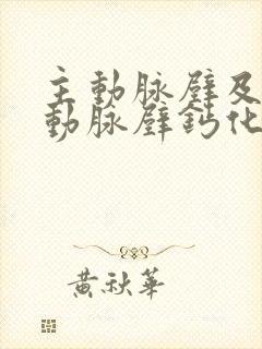 主动脉壁及冠状动脉壁钙化灶