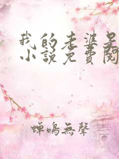 我的老婆是总裁小说免费阅读全文