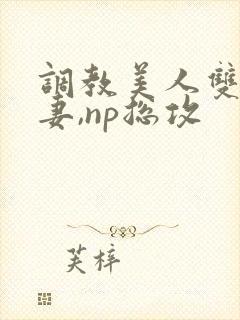 调教美人双性男妻,np总攻