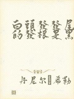 白头发发尾是白的发根是黑色