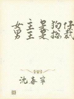 女主是狗仔记者男主是总裁