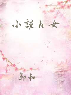 小说 h 女