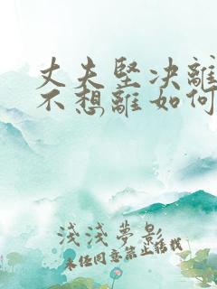 丈夫坚决离婚我不想离如何解决