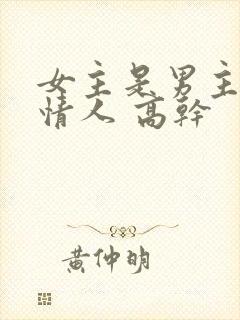 女主是男主养的情人 高干