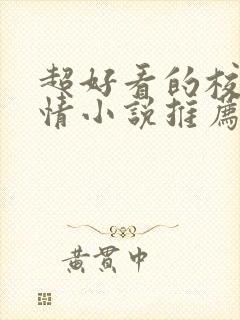 超好看的校园言情小说推荐