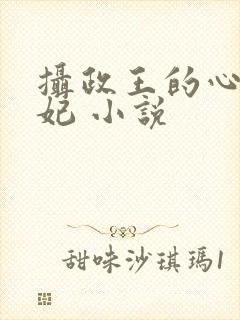 摄政王的心尖宠妃 小说