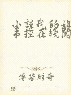小说我的姐姐很弟控在线阅读