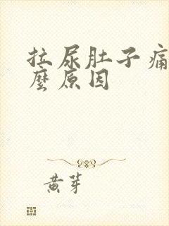 拉尿肚子痛是什么原因