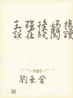 王强后妈杨美小说在线阅读