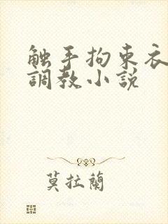 触手拘束衣淫堕调教小说