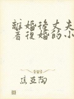 离婚后丈夫哭求着复婚的小说