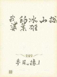 我的冰山总裁老婆叶雄