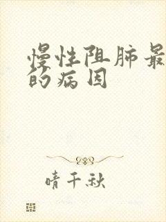 慢性阻肺最常见的病因