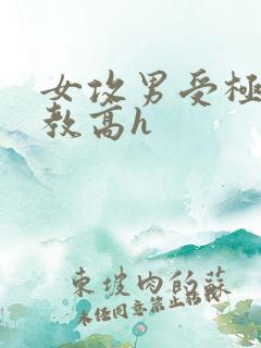 女攻男受极限调教高h
