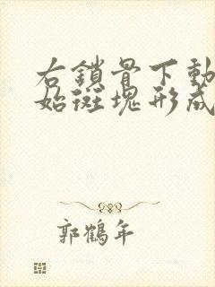 右锁骨下动脉起始斑块形成