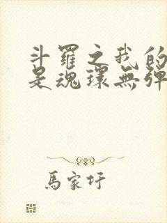 斗罗之我的武魂是魂环无弹窗