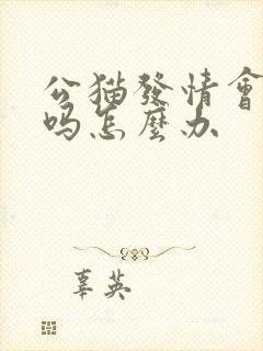 公猫发情会乱尿吗怎么办